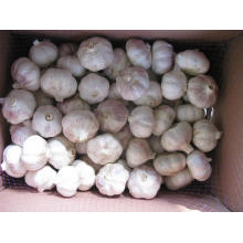 Chinese Normal White Garlic (4.5cm 5.0cm 5.5cm 6.0cm and up)